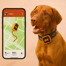 Ladda upp bild till gallerivisning, NordPaw Dog GPS
