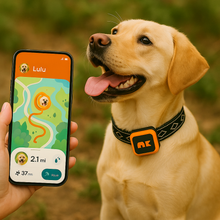 Ladda upp bild till gallerivisning, NordPaw Dog GPS
